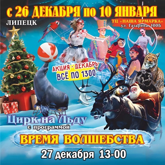 Цирк на льду