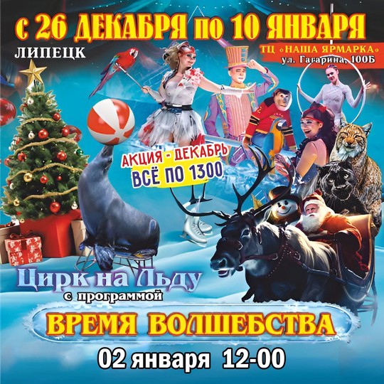 Цирк на льду